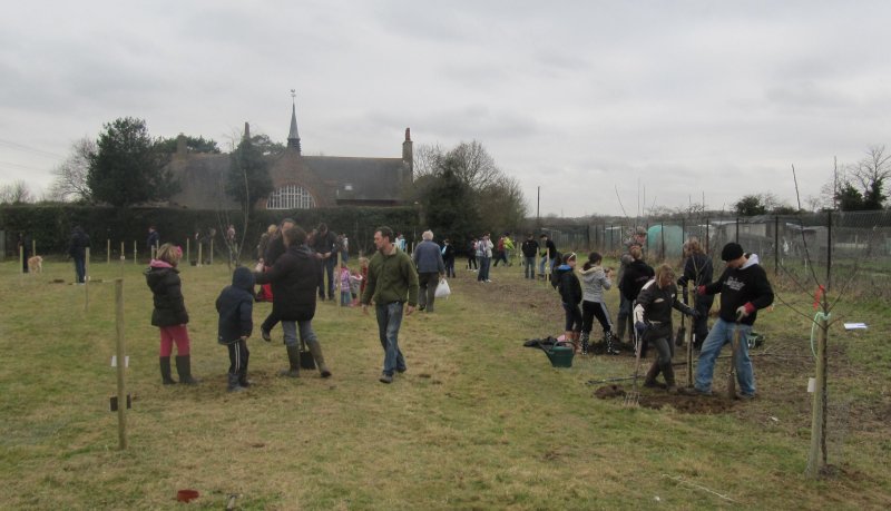 Lots of enthusiastic tree planters